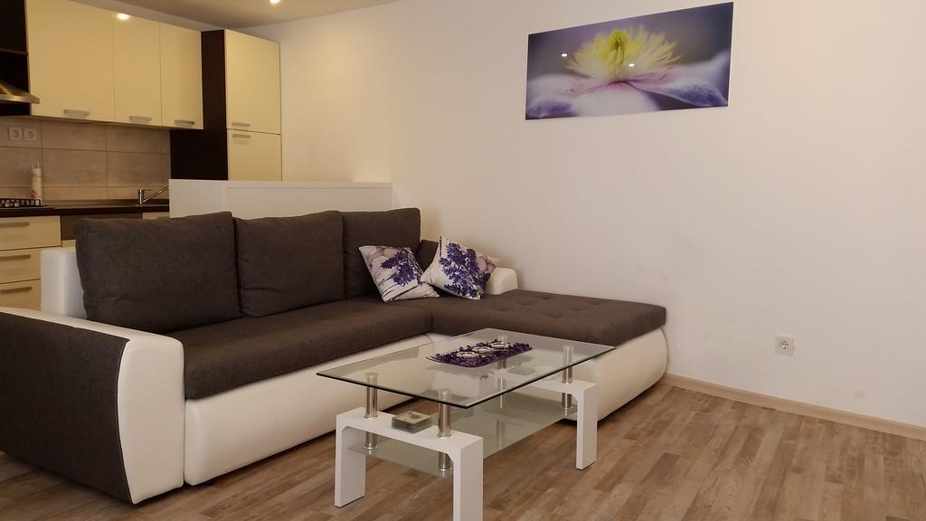 Apartment Soric 塞尼 外观 照片