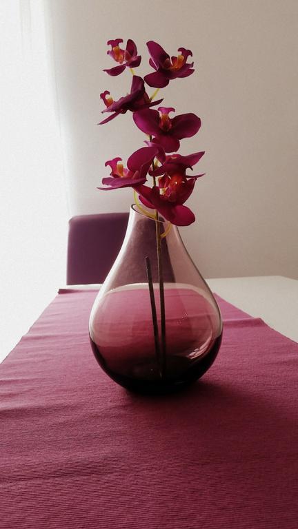 Apartment Soric 塞尼 外观 照片